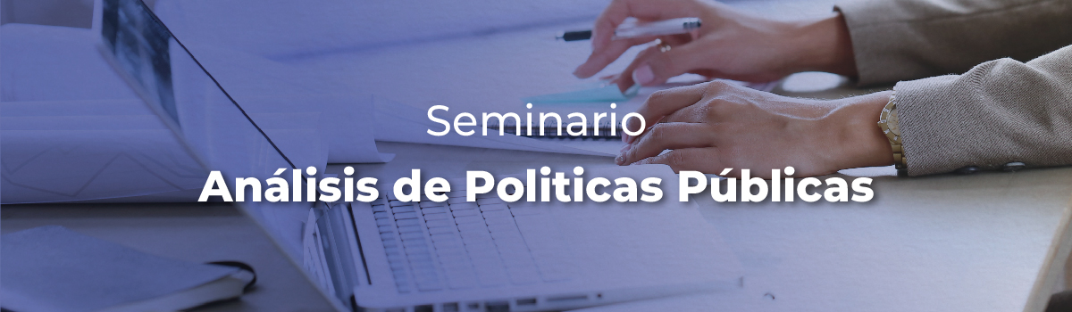 banner seminario analisis politicas publicas-1200x350